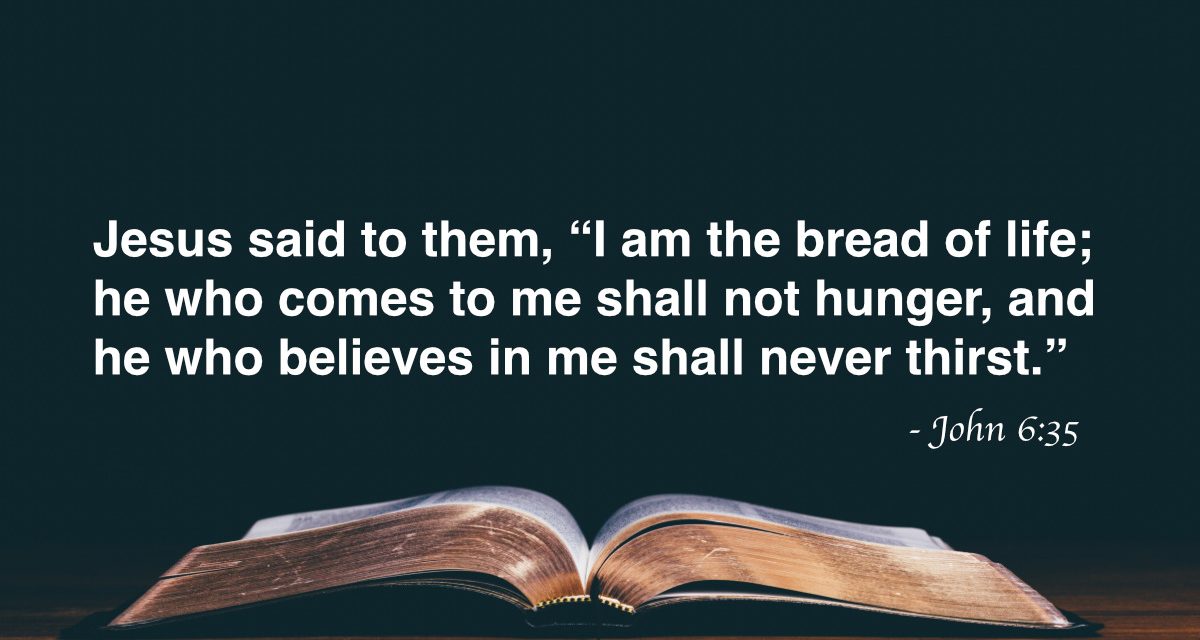 Your Daily Bible Verses — John 6:35
