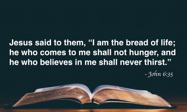 Your Daily Bible Verses — John 6:35