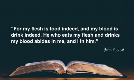 Your Daily Bible Verses — John 6:55-56