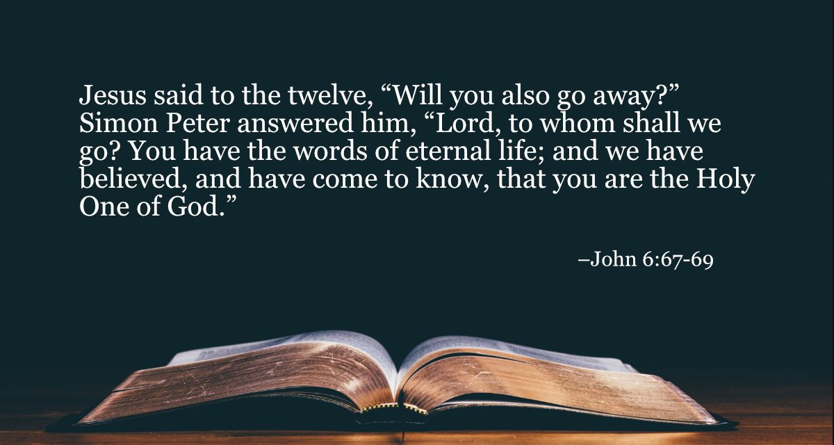 Your Daily Bible Verses — John 6:67-69