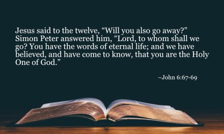 Your Daily Bible Verses — John 6:67-69