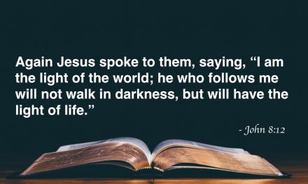 Your Daily Bible Verses — John 8:12