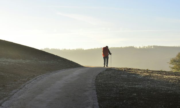 Forward on Pilgrimage