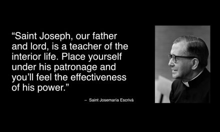 Daily Quote — St. Josemaría Escrivá