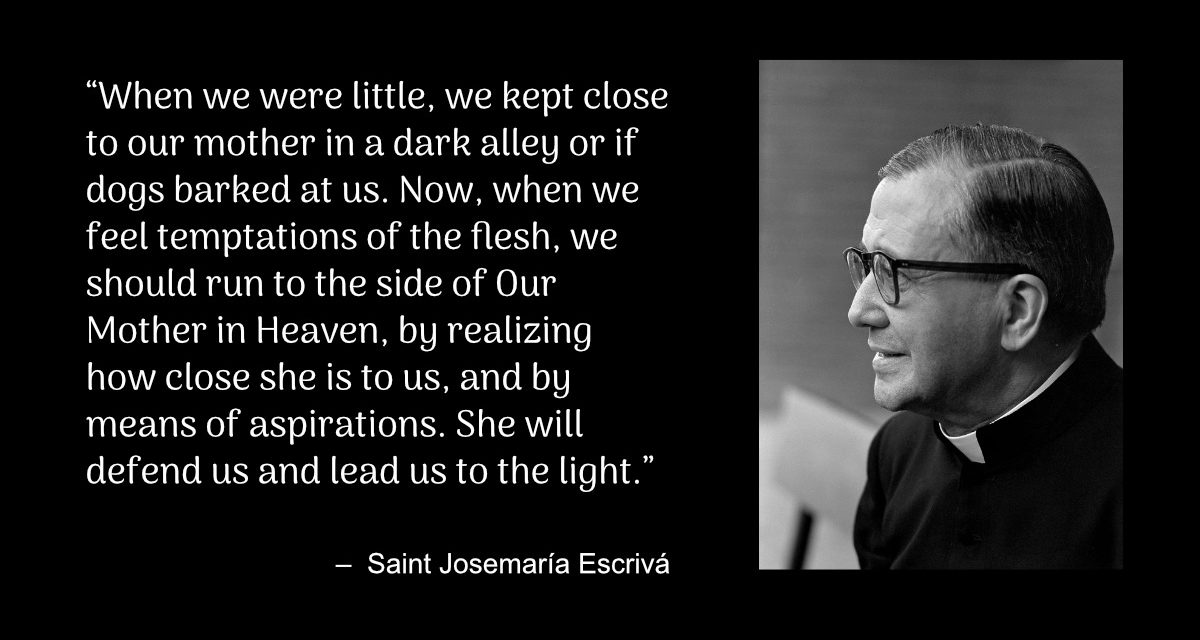 Daily Quote — Saint Josemaría Escrivá