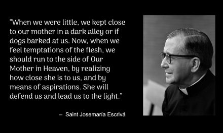 Daily Quote — Saint Josemaría Escrivá