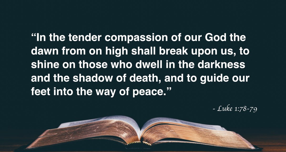 Your Daily Bible Verses — Luke 1:78-79