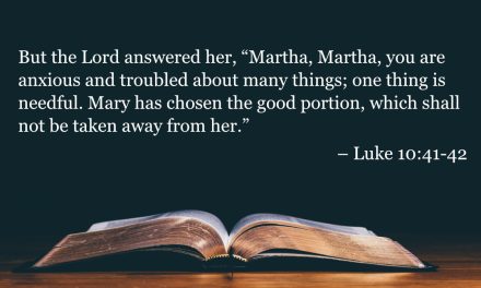 Your Daily Bible Verses — Luke 10:41-42