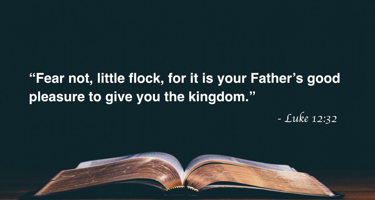 Your Daily Bible Verses — Luke 12:32