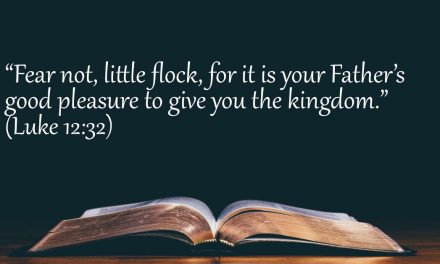 Your Daily Bible Verses — Luke 12:32