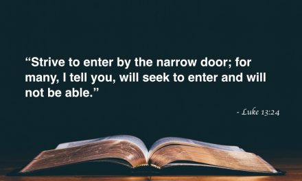 Your Daily Bible Verses — Luke 13:24