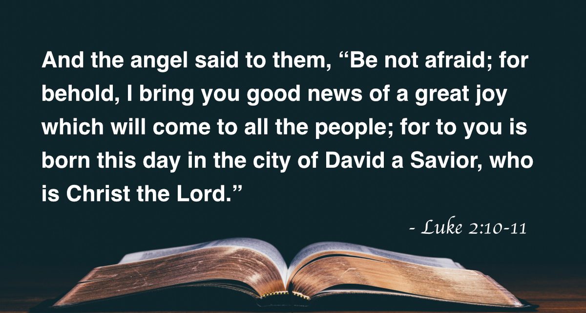 Your Daily Bible Verses — Luke 2:10-11