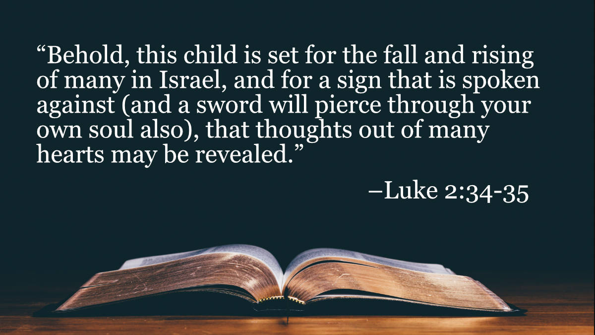 your-daily-bible-verses-luke-2-34-35-integrated-catholic-life