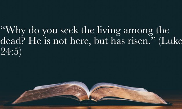 Your Daily Bible Verses — Luke 24:5