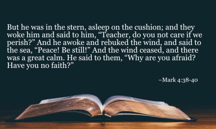 Your Daily Bible Verses — Mark 4:38-40