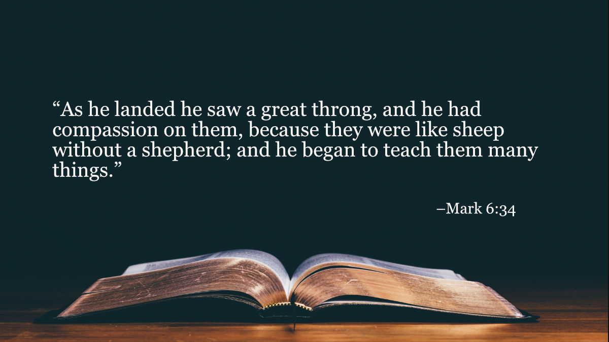 your-daily-bible-verses-mark-6-34-integrated-catholic-life