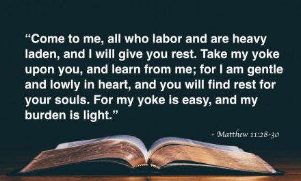 Your Daily Bible Verses — Matthew 11:28-30