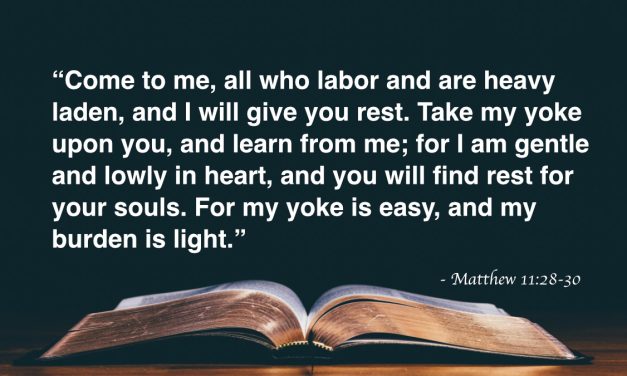 Your Daily Bible Verses — Matthew 11:28-30