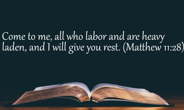 Your Daily Bible Verses — Matthew 11:28
