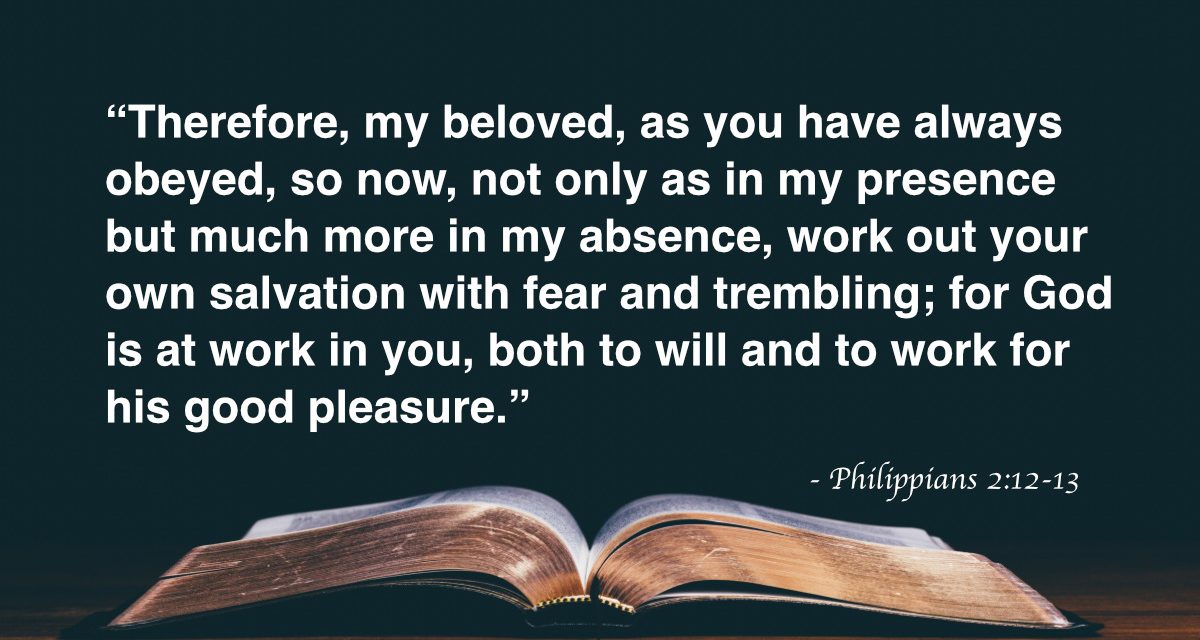 Your Daily Bible Verses — Philippians 2:12-13