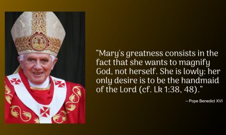 Daily Quote — Pope Benedict XVI