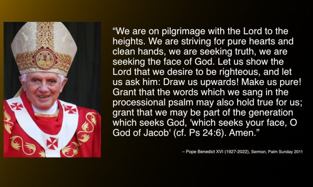 Daily Quote — Pope Benedict XVI