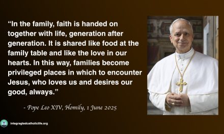 Daily Quote — Pope Leo XIV