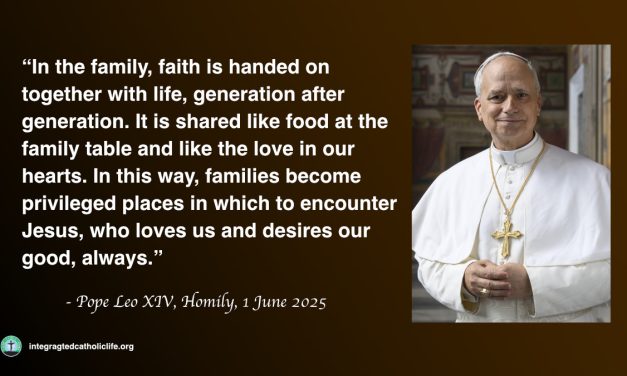 Daily Quote — Pope Leo XIV