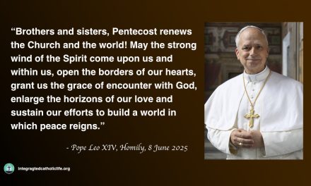 Daily Quote — Pope Leo XIV