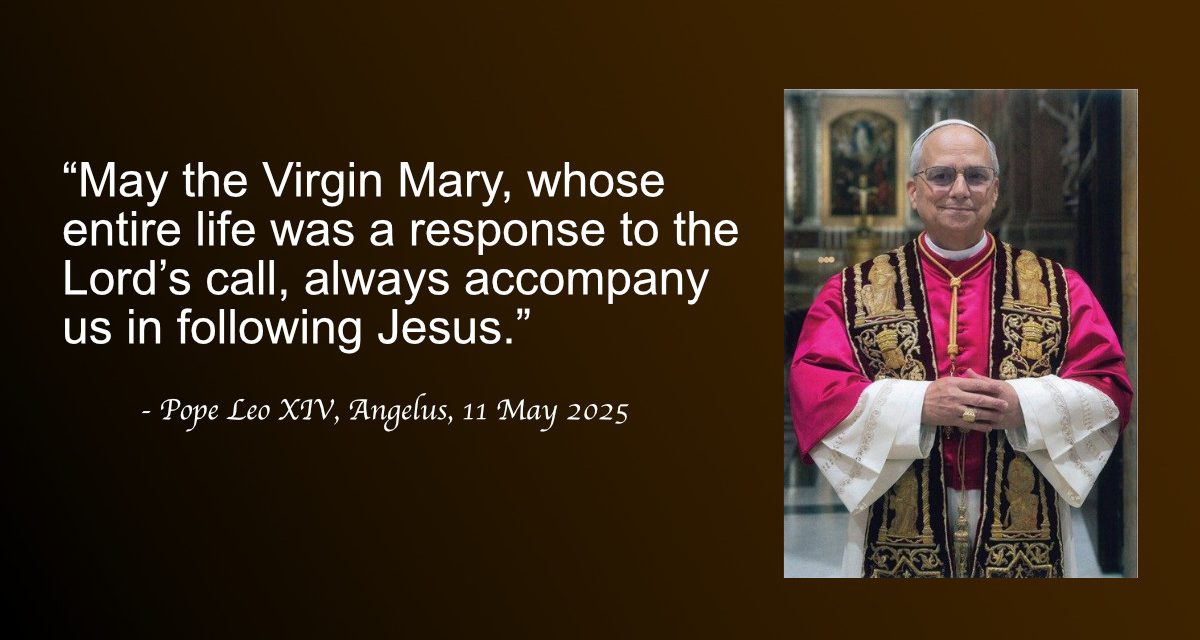 Daily Quote — Pope Leo XIV