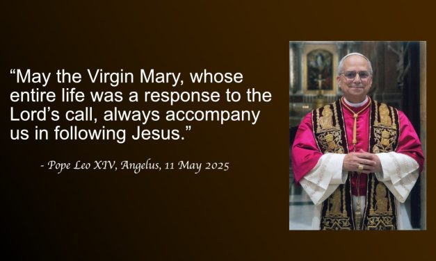 Daily Quote — Pope Leo XIV