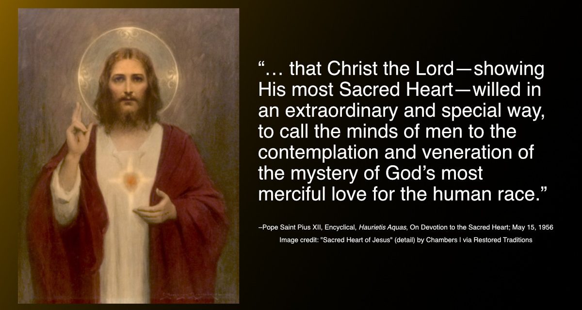 Daily Quote — Saint Pius XII