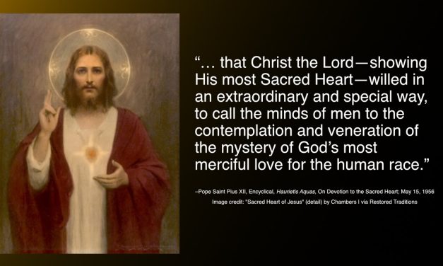 Daily Quote — Saint Pius XII
