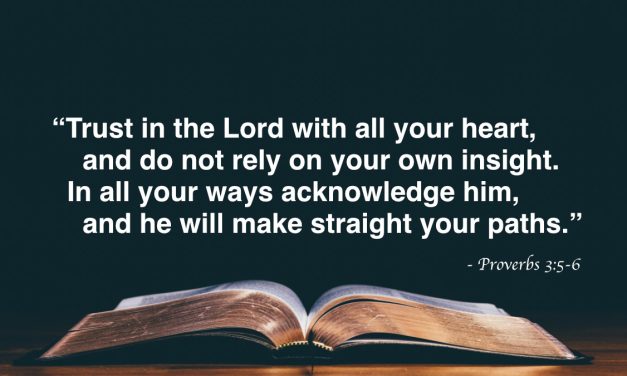 Your Daily Bible Verses — Proverbs 3:5-6