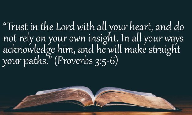 Your Daily Bible Verses — Proverbs 3:5-6