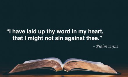 Your Daily Bible Verses — Psalm 119:11