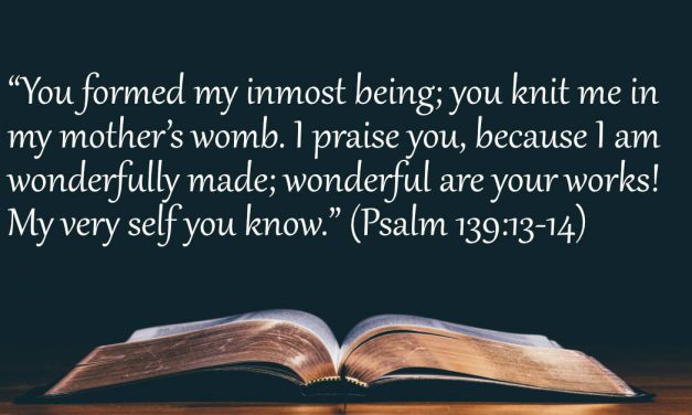 Your Daily Bible Verses — Psalm 139:13-14