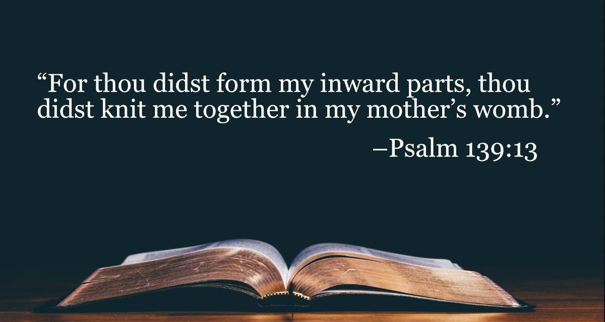 Your Daily Bible Verses — Psalm 139:13