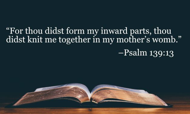 Your Daily Bible Verses — Psalm 139:13