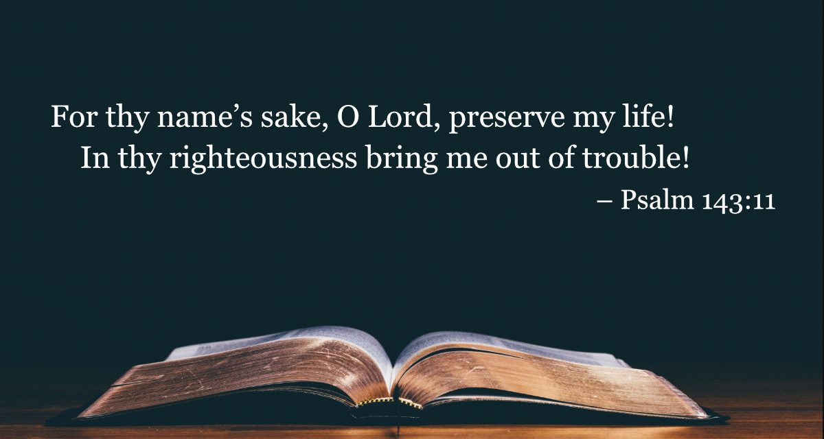 Your Daily Bible Verses — Psalm 143:11