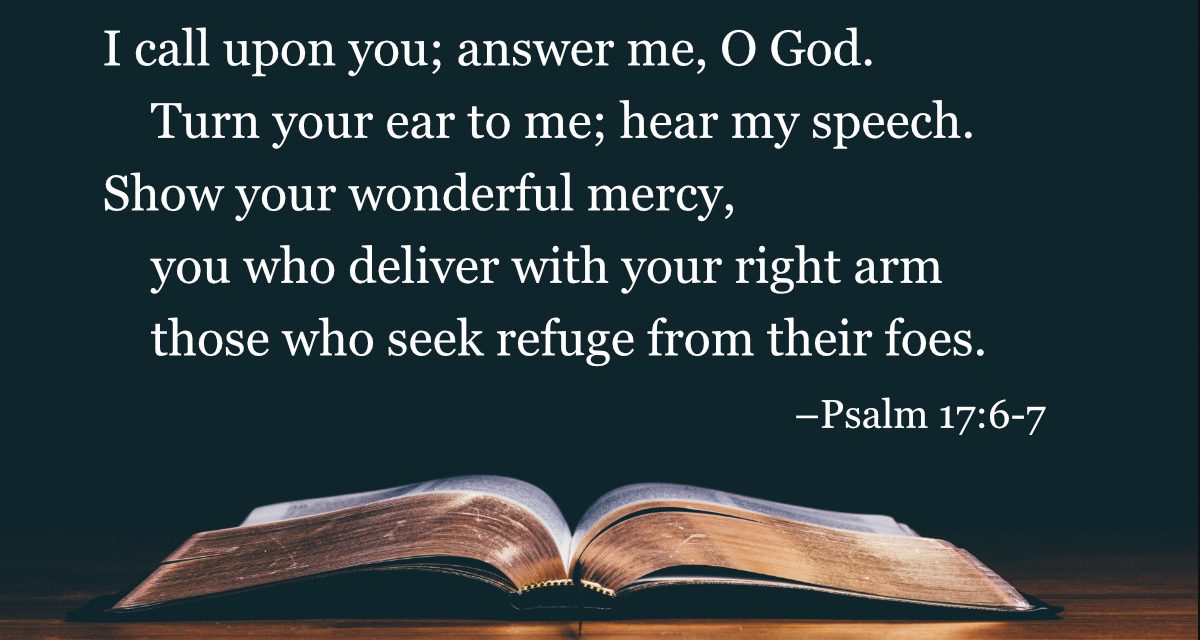 Your Daily Bible Verses — Psalm 17:6-7
