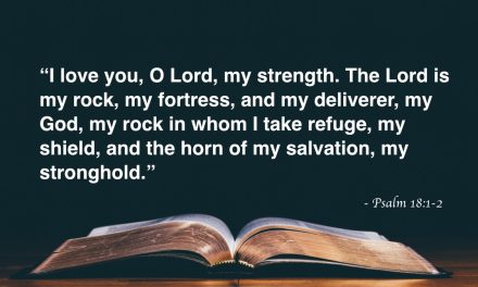 Your Daily Bible Verses — Psalm 18:1-2
