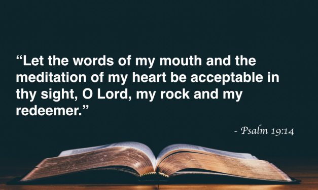 Your Daily Bible Verses — Psalm 19:14