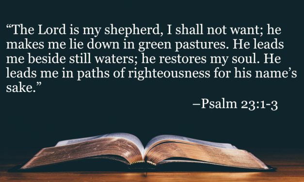 Your Daily Bible Verses — Psalm 23:1-3