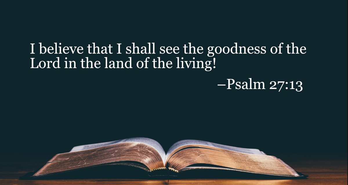 Your Daily Bible Verses — Psalm 27:13