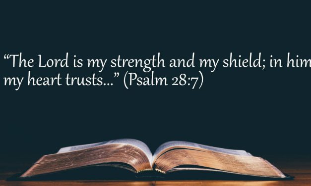 Your Daily Bible Verses — Psalm 28:7