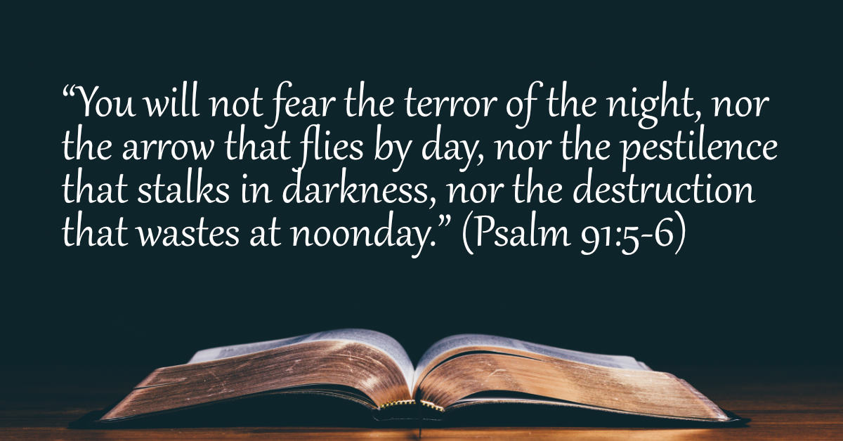 Your Daily Bible Verses — Psalm 91:5-6