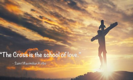 Daily Catholic Quote — Saint Maximilian Kolbe