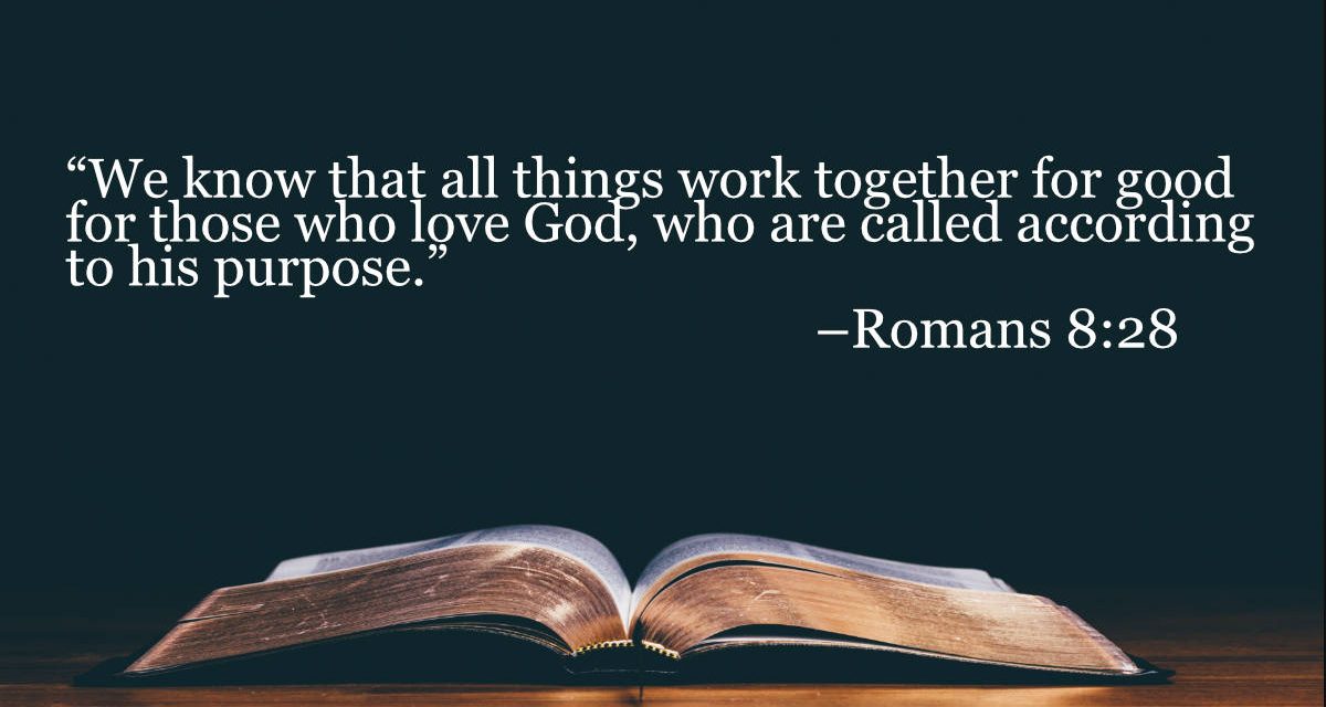 Your Daily Bible Verses — Romans 8:28