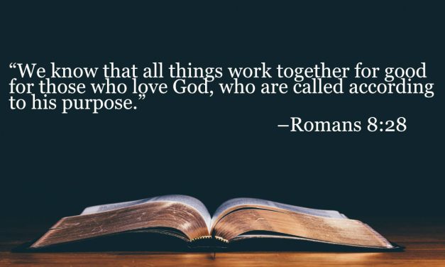 Your Daily Bible Verses — Romans 8:28
